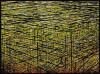 "Cages Inside Cages with Overlay, Red, Green" 2010, oil on canvas, 53 1/2" X 72" (136cm X 183cm)