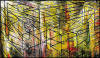“Cages With Light” 2014, oil on canvas, 72” x 123” (183cm x 312cm)