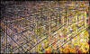 "Cages with Overlay No. 1" 2009, oil on canvas, 72" X 118" (183cm X 300cm)