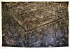 "A Maze Cage", 2004, oil on canvas, 57" x 79"