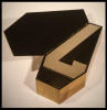 "Coffin with Sealed Seven Containing Secret's for Eternal Bliss" 1986, mix media inside painted & lacquered wood, 37"x16"x7-1/2"; (Coll: Peter Stern)