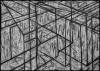 "Cages Drawing 5-2016" charcoal & pastel on paper, 60" X 84" (153cm X 214cm)