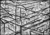 "Cages Drawing 7-2016" charcoal & pastel on paper, 60" X 84" (153cm X 214cm)