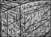 "Cages Drawing 8-2016" charcoal & pastel on paper, 60" X 84" (153cm X 214cm)