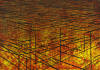 "Cages Overlay Red Lines", 2009, color etching, edition: 19, image: 9-3/4" x 13-3/4"